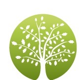 Carvalho Marketing Digital