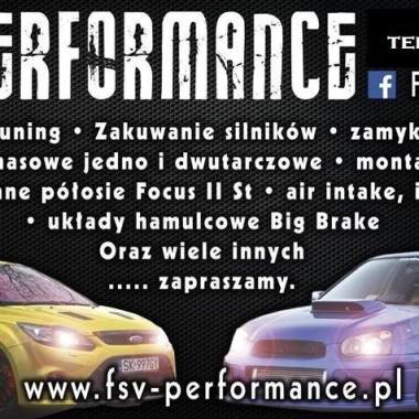 Fsv Performance