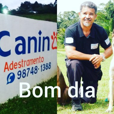 Caninos Adestramento