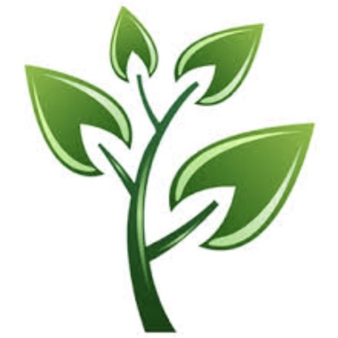 Evergreen landscapes