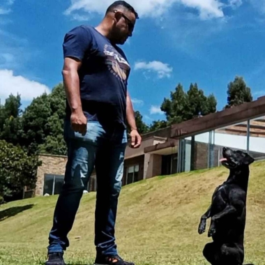 Adiestramiento Canino Medellín Antioquia