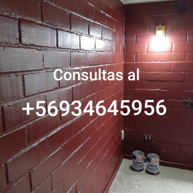 Maestro Pintor