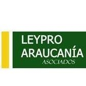 LEYPRO ARAUCANÍA ASOCIADOS