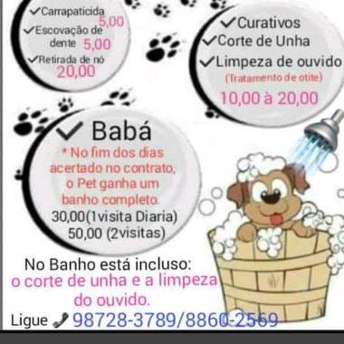 Pet serviços