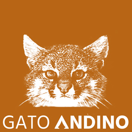 Gato Andino Producciones