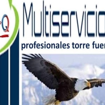 Multiservicios Profesionales GQ