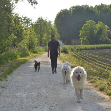 Pole Canin