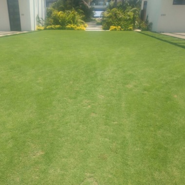 Gramas & Jardines