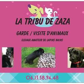 La tribu de zaza