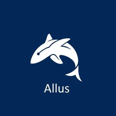 Allus Consultoria Estratégica