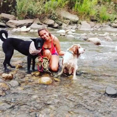 CaNan Veterinaria