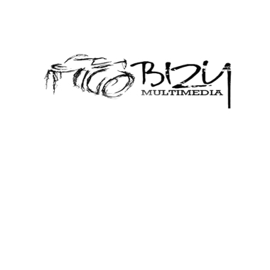 Bizy  Multimedia