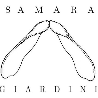 Samara Giardini