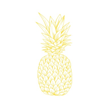 PINEAPPLE STUDIO