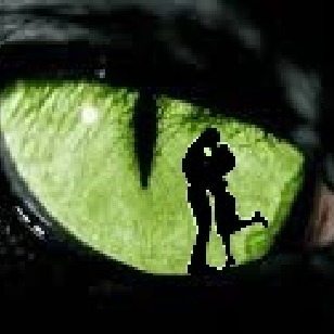 Cat's eye détective