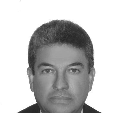 Logistica organizacional