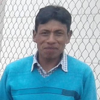 Maestro albañil
