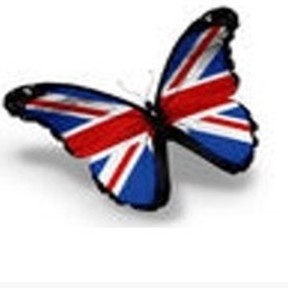ANN MD - ENGLISH ONLINE