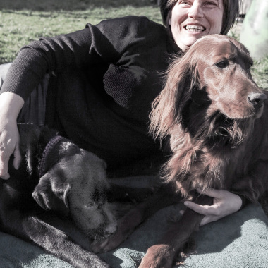 Hunde-Campus