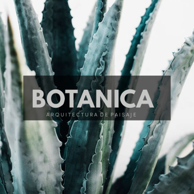 Botanica