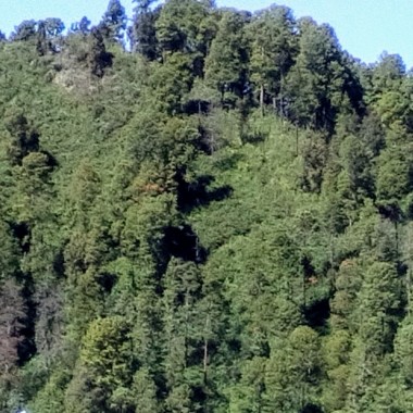 Cuauhtemoc