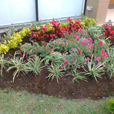Jardinería 