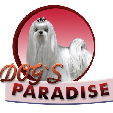 Dogs Paradise Katarzyna Leśniak