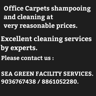 Sea Green Facility Services