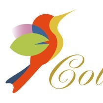 Colibri