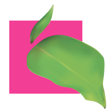 Cap'Flore