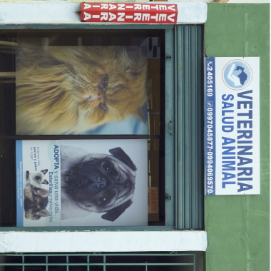 Veterinaria Salud Animal