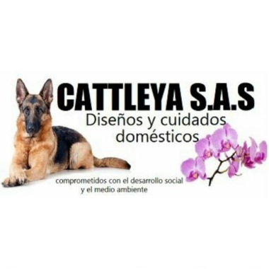 DISEÑOS Y CUIDADOS DOMÉSTICOS CATTLEYA S.A.S