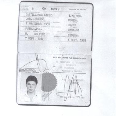 Profesional Independiente