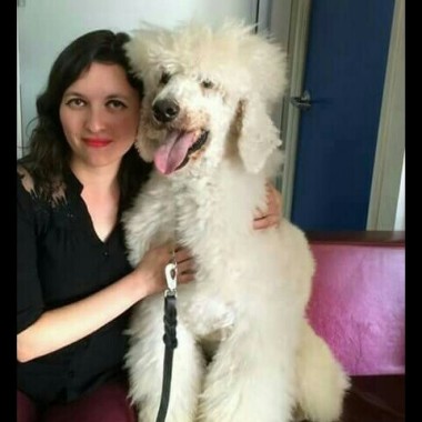 Paseo y cuidado de perros