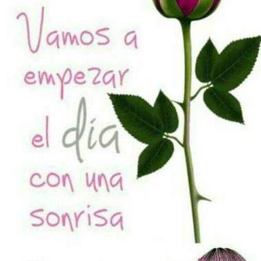 Sandra confeccion