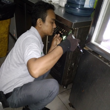 Ecoforpest Exterminator