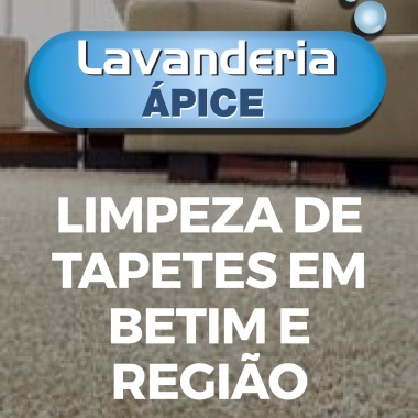 Lavanderia Ápice Ltda