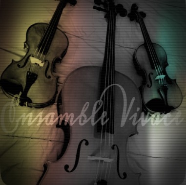 Educadores para el desarrollo integral a través de la música.