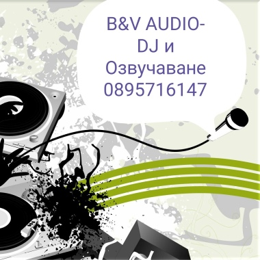 B&V AUDIO