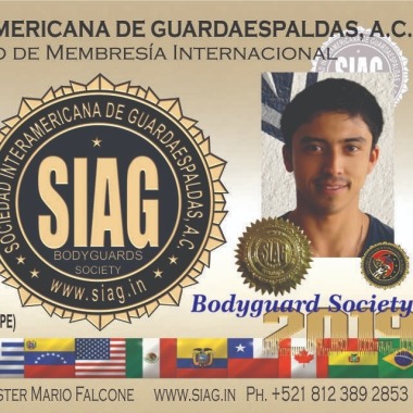 Seguridad ejecutiva