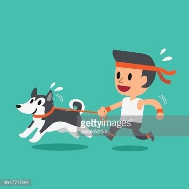Paseo y trote con tu mascota