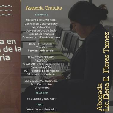 Abogada | Elena E. Flores Tamez