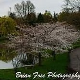 Brian Fose photography