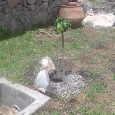 CONSTRUCTORA DICOCI