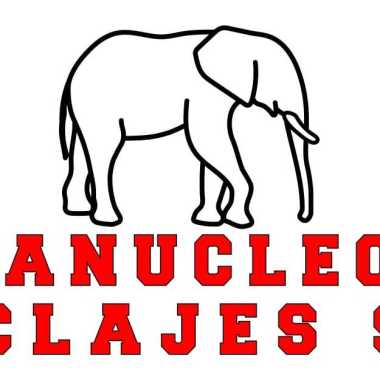 SACANUCLEOS Y ANCLAJES SAS