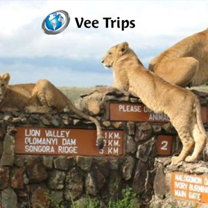 Vee Trips and Travel Agency