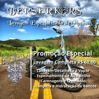 Berserkers lavagens vip