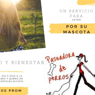 NT PASEADORES DE PERROS BUCARAMANGA