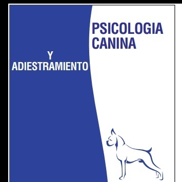 Psicología camina y adiestramiento
