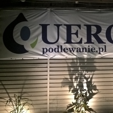 QUERCUS Dolniak - Przepiórka